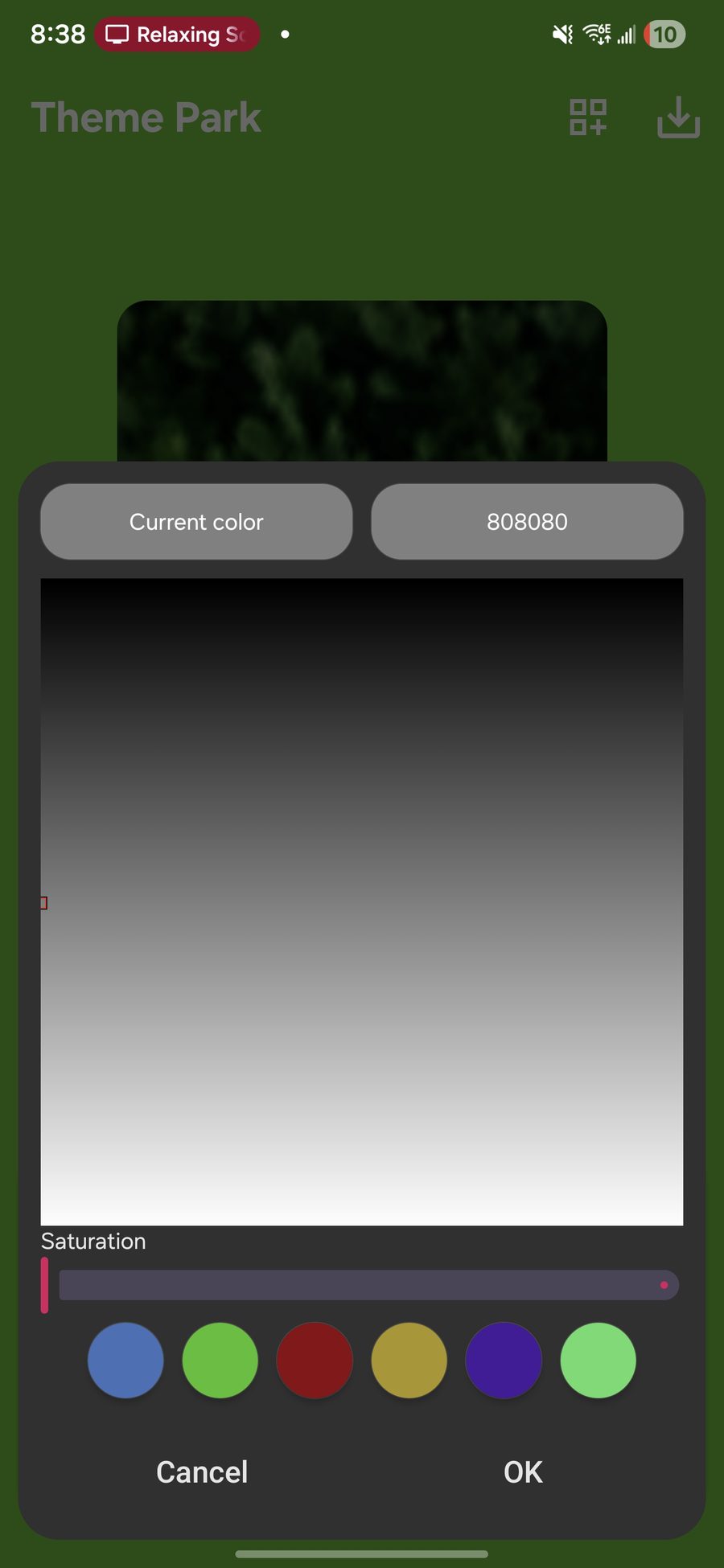 Theme Park color picker with hex code 808080 entered for the shape