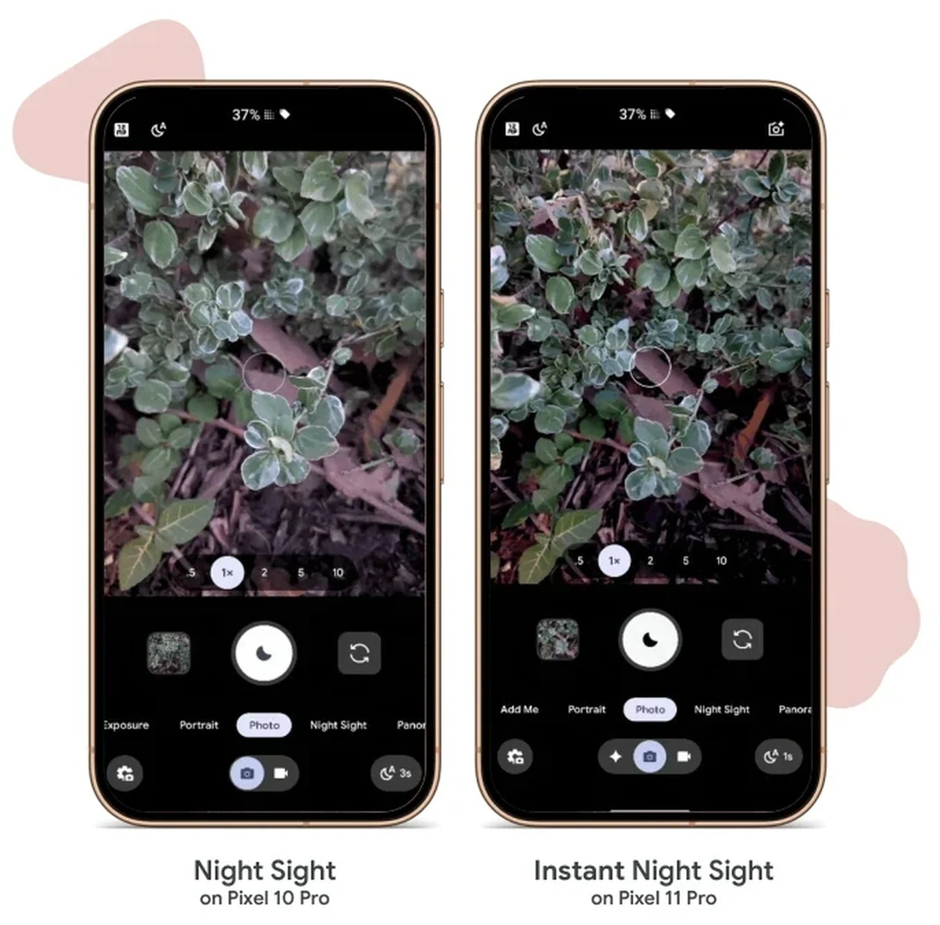 Night Sight on Pixel 10 Pro shown next to Instant Night Sight on Pixel 11 Pro capturing the same low-light plant