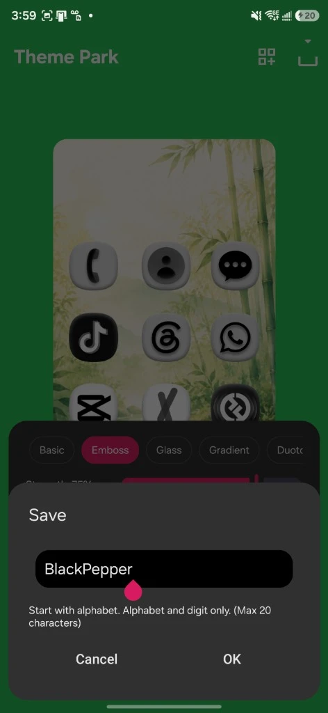 Theme Park Save dialog with the name BlackPepper entered